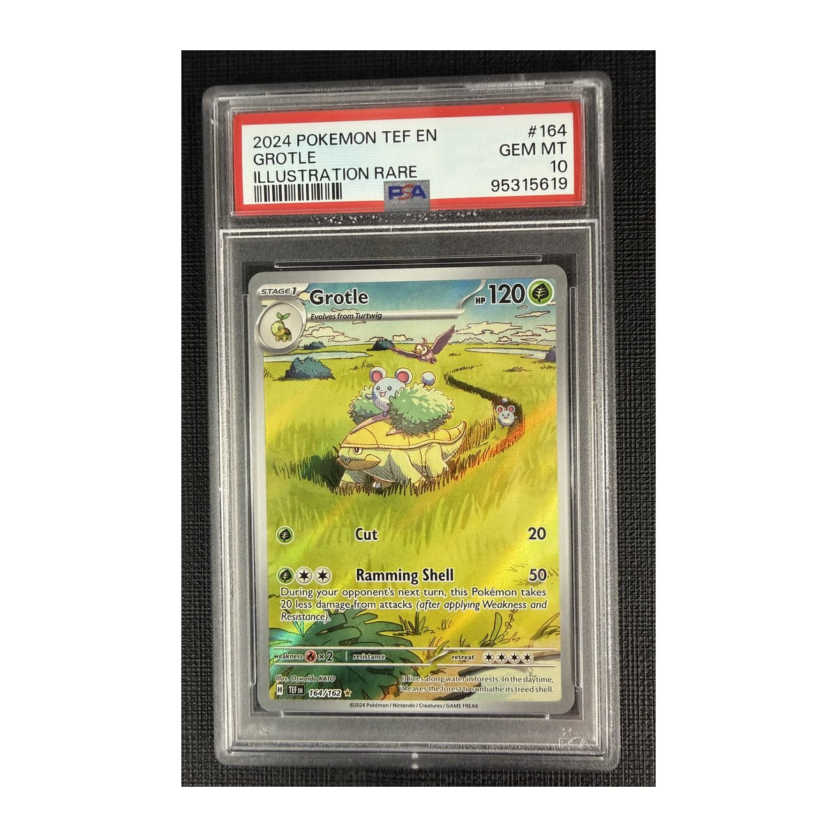 PSA 10 Temporal Forces Grotle